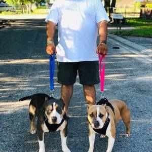 Meet your Posher, Ponchito